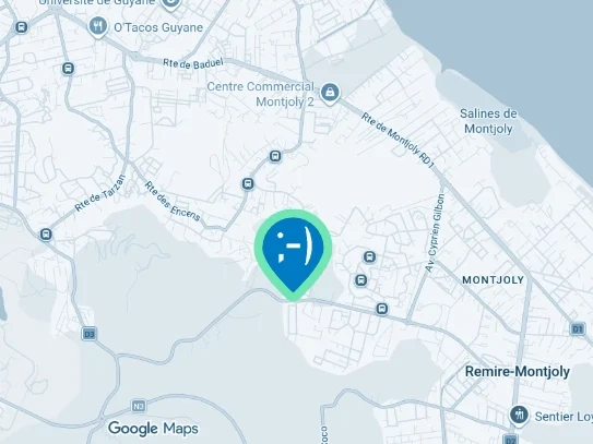 Localiser Mission Informatique sur Google Maps
